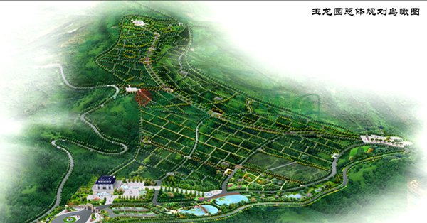 1-22020Q12122N1 沙巴电竞·(中国)官方网站 - APP下载