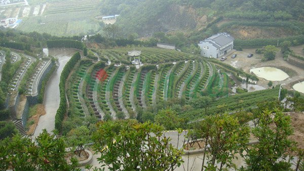 沙巴电竞·(中国)官方网站 - APP下载