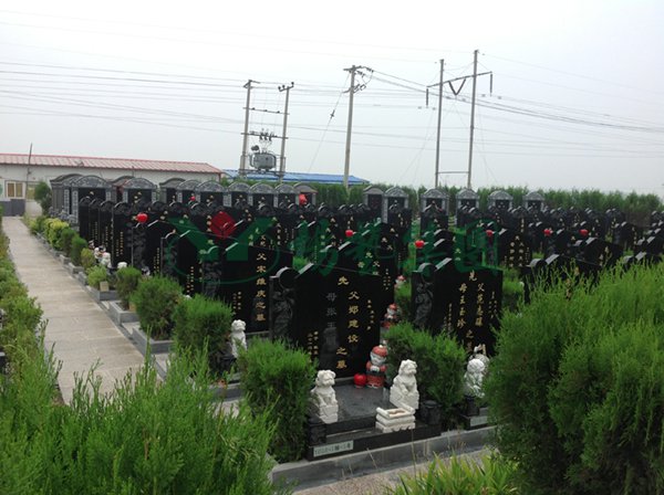 1-22021014061L23 沙巴电竞·(中国)官方网站 - APP下载