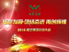 【2016年沙巴电竞年中会在召开中~】全员充电培训