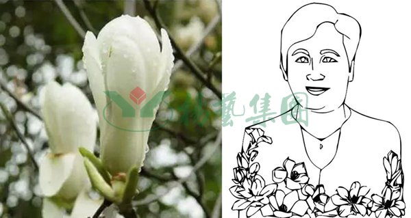沙巴电竞·(中国)官方网站 - APP下载