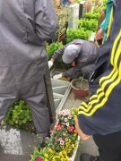 【沙巴电竞人别样清明】2018年清明落葬工作圆满实现
