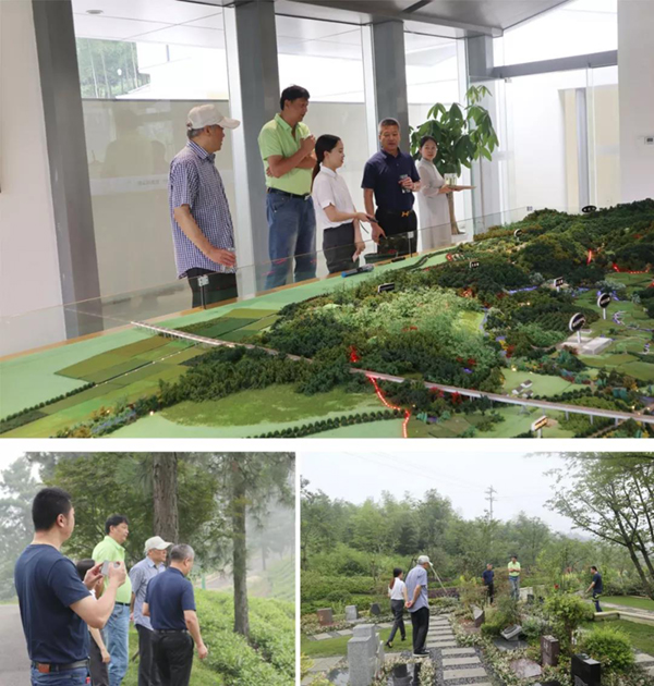 沙巴电竞·(中国)官方网站 - APP下载