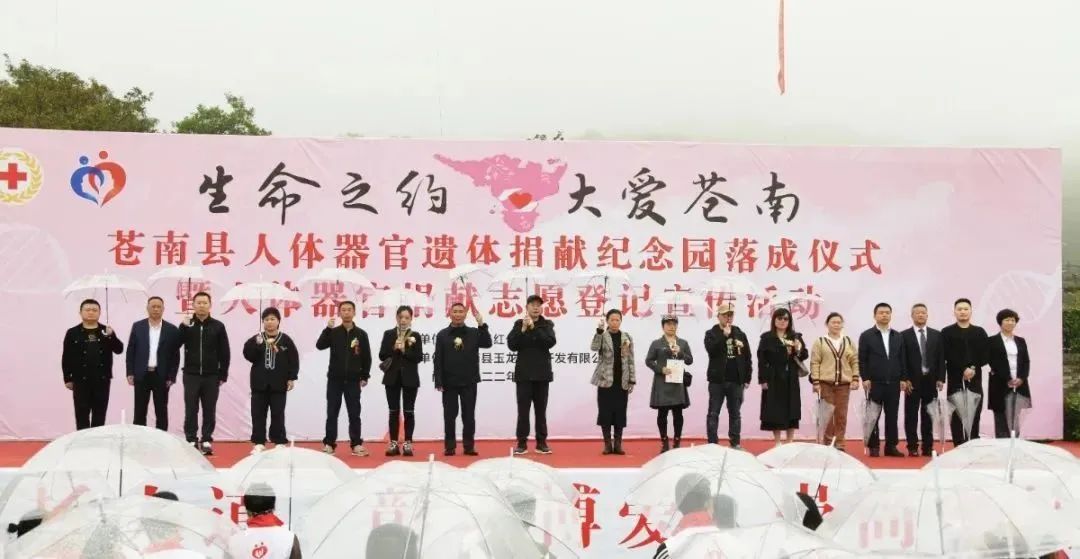 沙巴电竞·(中国)官方网站 - APP下载