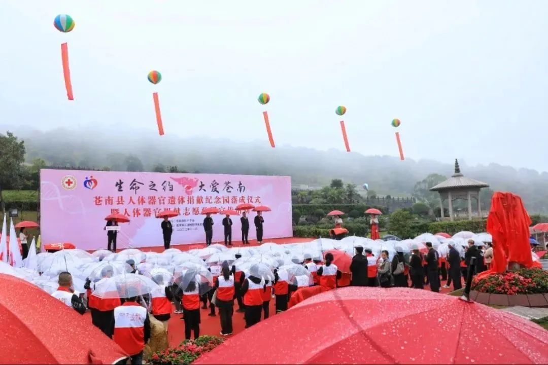 沙巴电竞·(中国)官方网站 - APP下载