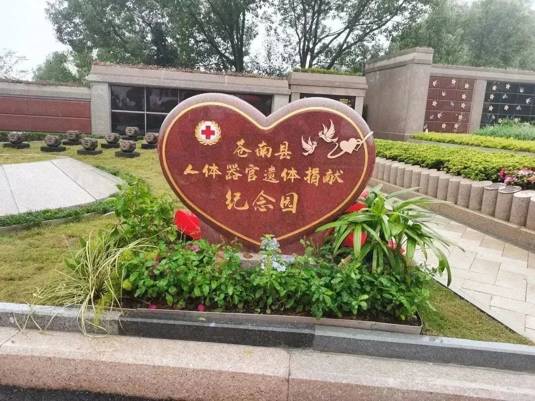 沙巴电竞·(中国)官方网站 - APP下载