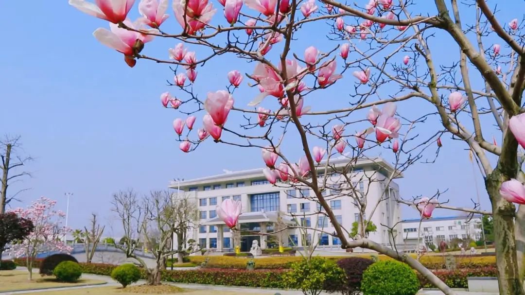沙巴电竞·(中国)官方网站 - APP下载