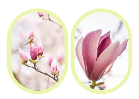沙巴电竞·(中国)官方网站 - APP下载