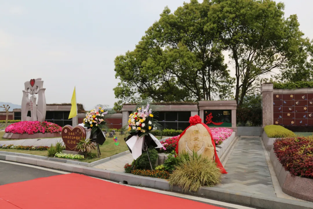 沙巴电竞·(中国)官方网站 - APP下载