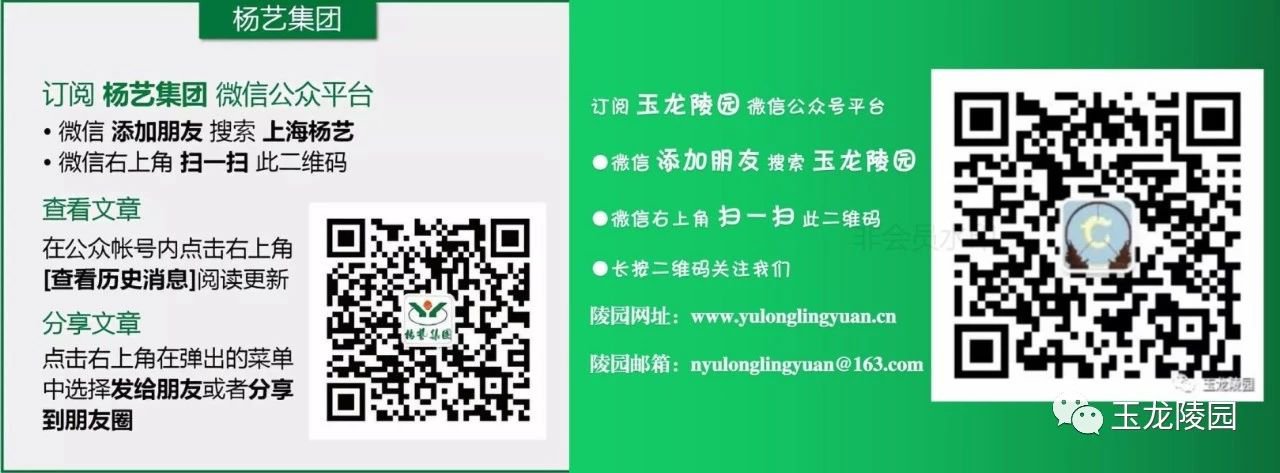 沙巴电竞·(中国)官方网站 - APP下载