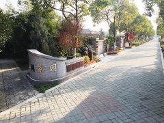 城市最后一平米：生态葬，是与自然的和解？还是无奈的选择？