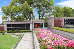 归于自然，泽被后世：解读现代生态葬及其创新趋势
