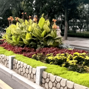 无机仿真石花箱：以永恒之名，塑未来之境