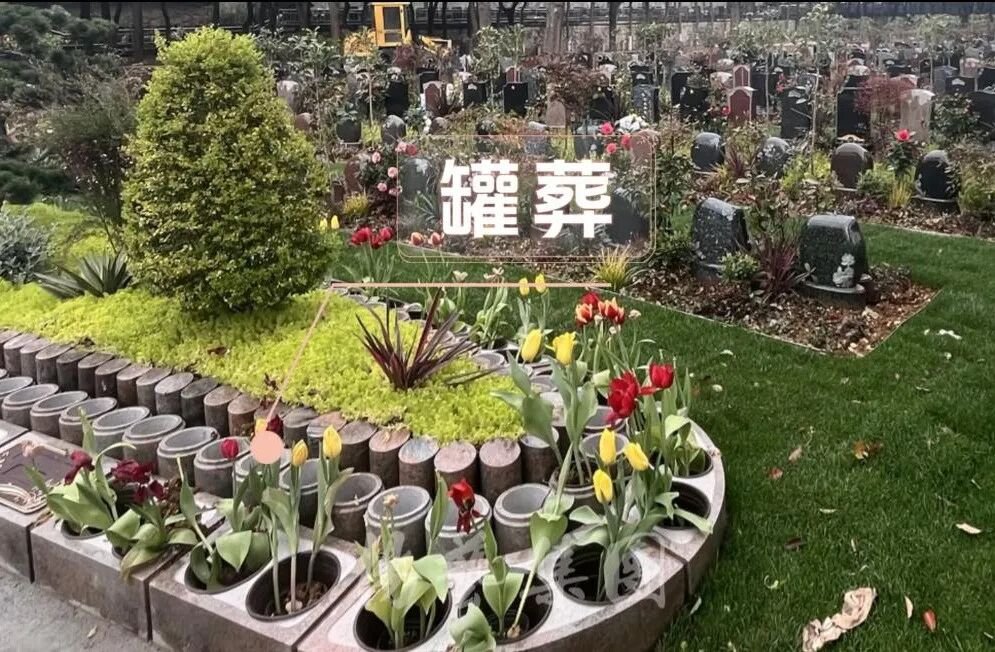 沙巴电竞·(中国)官方网站 - APP下载
