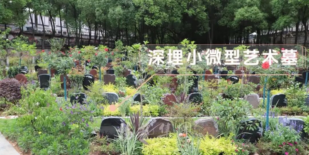 沙巴电竞·(中国)官方网站 - APP下载