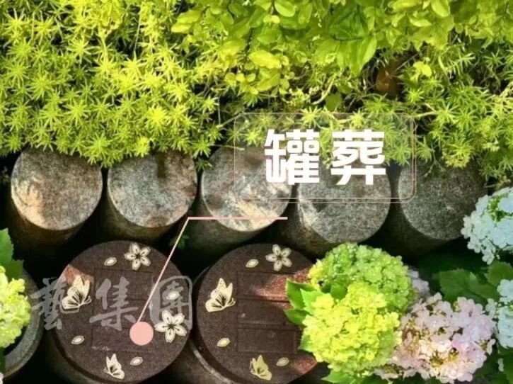 沙巴电竞·(中国)官方网站 - APP下载