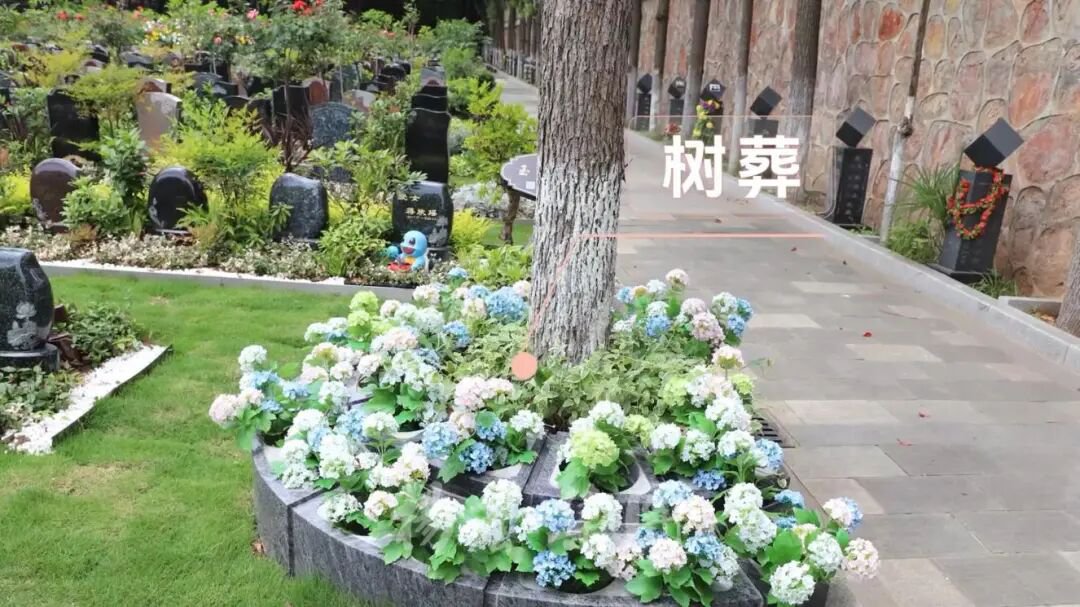 沙巴电竞·(中国)官方网站 - APP下载
