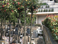 微改造，大情怀——老墓园规划设计的温度与智慧